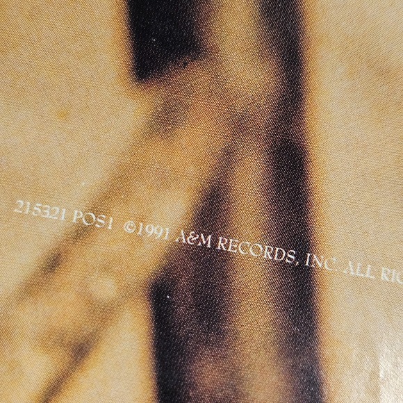 Amy Grant Heart In Motion 1991 Promo Album Poster A&M Records Rock Pop 24x36 - Picture 2 of 7